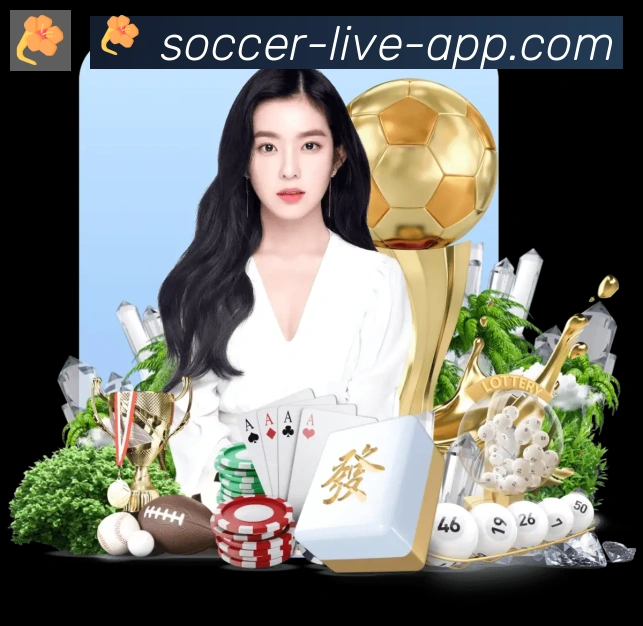 App界面